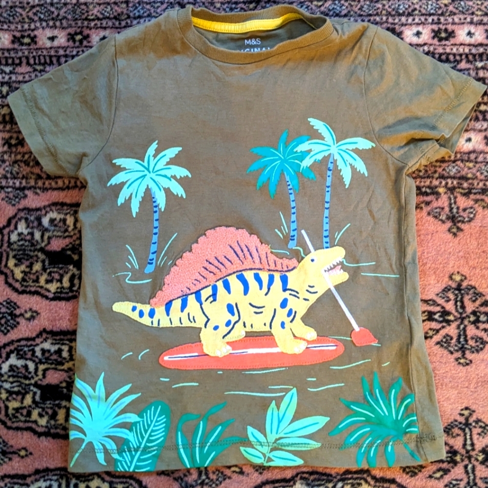 Marks & Spencer Applique Tee, Surfing Dinosaur 3-4y